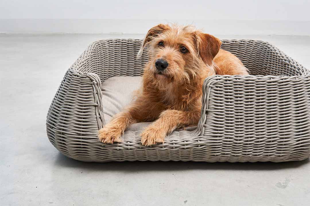 Mio Dog Basket M Anthracite