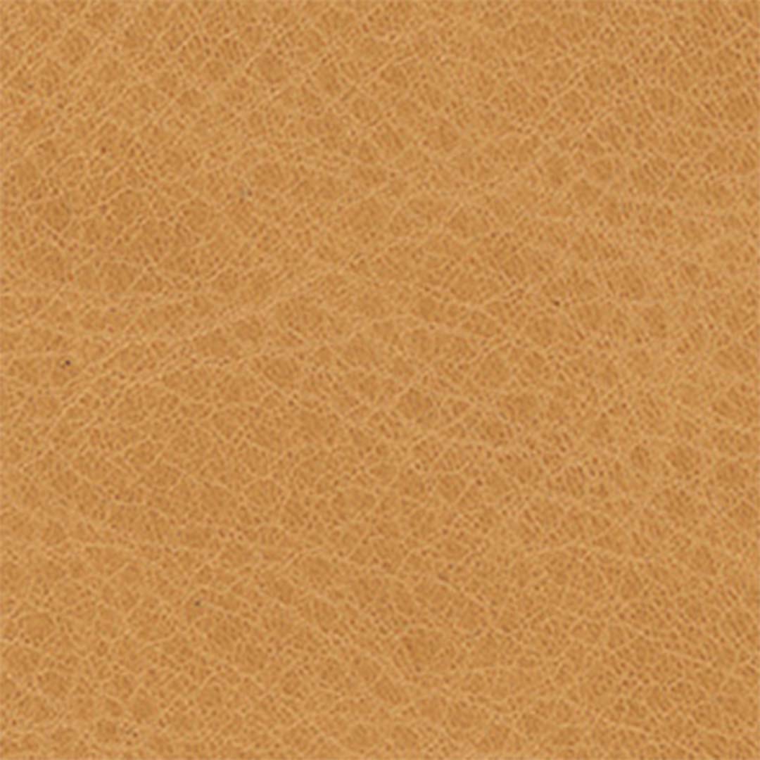 AVS-1（キャメル）