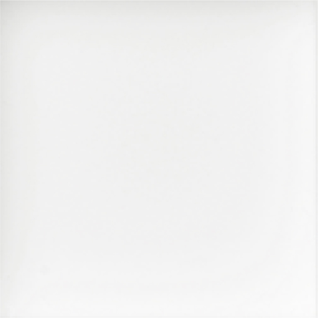 101 ニューホワイト