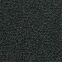 AL-6009 ブラック