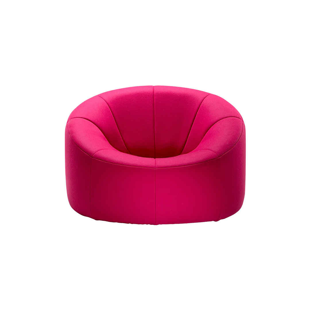 ROSETPumpkin 1P / W104