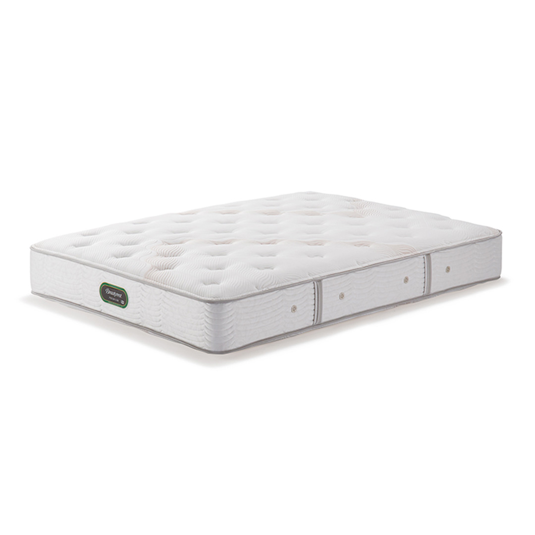 シモンズエグゼクティブ ニューフィット S