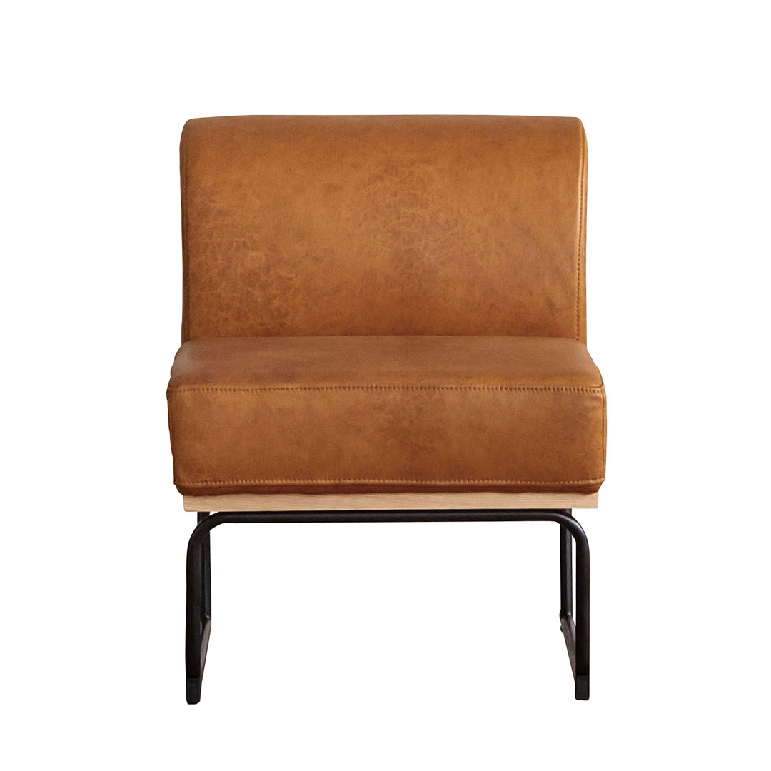 1P肘無 ダントンⅡ