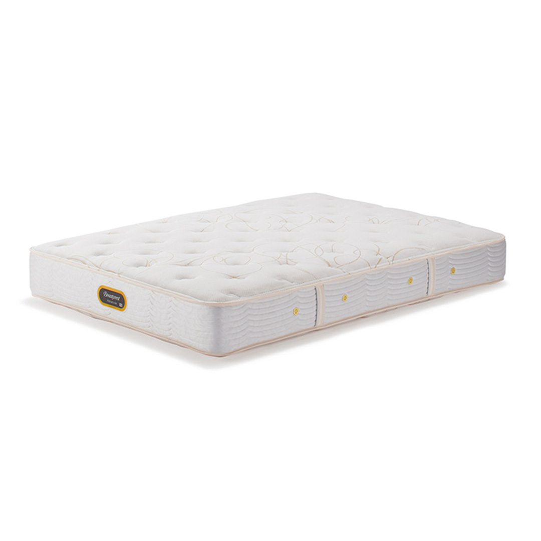 ゴールデンバリュー S